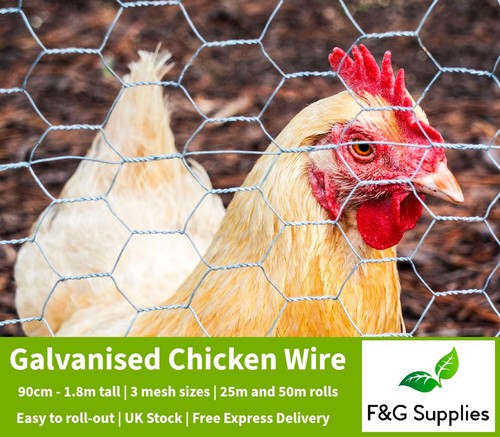 Chicken wire galvanised - chicken,