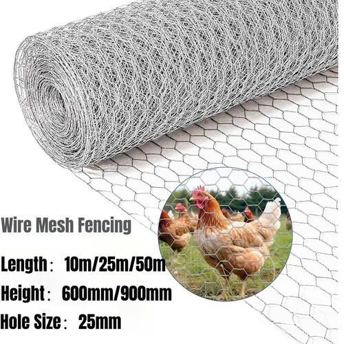 Chicken wire mesh - chicken,