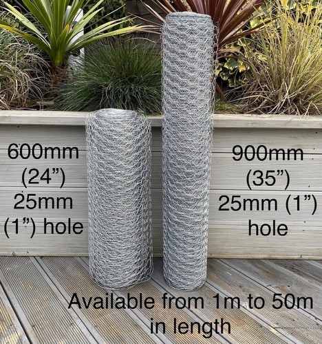 Galvanised chicken wire mesh - galvanised,