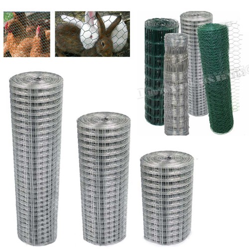 Chicken wire mesh - chicken,