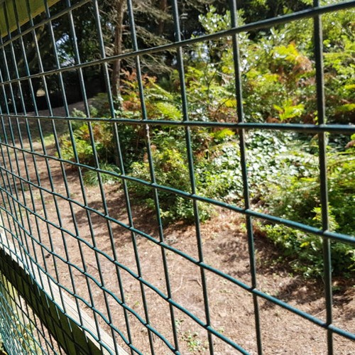 Pvc coated galvanised wire - pvc,