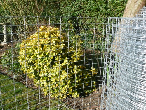 3ft 30m welded - 3ft, mesh
