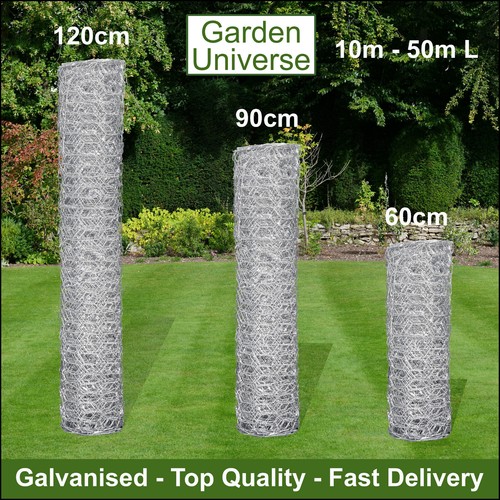 Chicken wire galvanised - chicken, 9