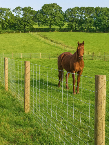 Stock fencing 100 - stock,