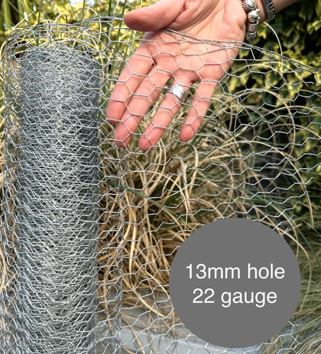 Galvanised chicken wire - chicken,