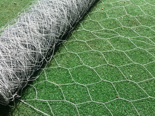 50m - 50m, (m