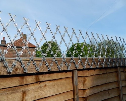 Garden trellis fence height - fence,