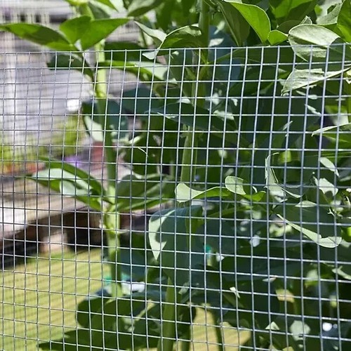 Galvanised welded wire mesh - welded,
